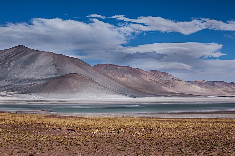 Laguna Cejar