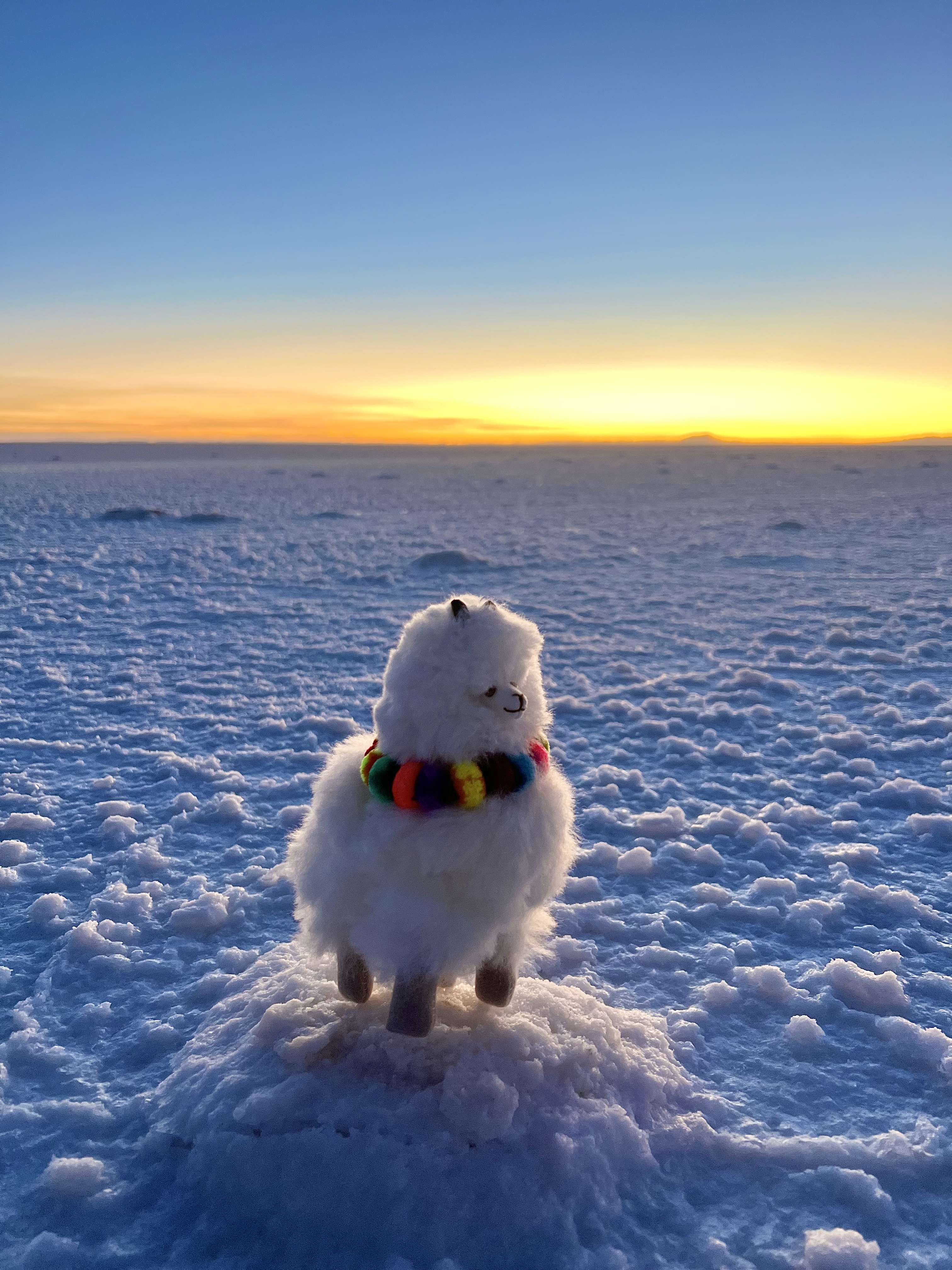 SALAR DE UYUNI 3 DIAS